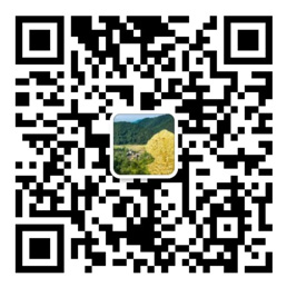 口袋牛店app下载